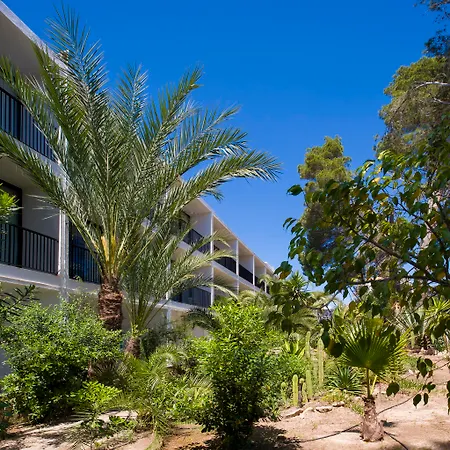 Osiris Ibiza